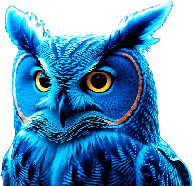owl