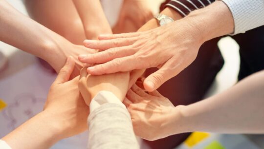Transparity accredited with the Disability Confident Employer (Level 2)